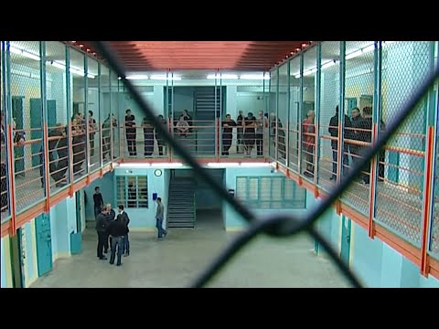 დათანხმდება თუ არა ოცნება დიდი ამნისტიის ინიციატივას