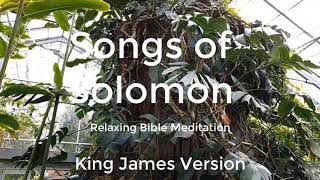 Song Of Solomon King James Version Relaxing Bible Meditation