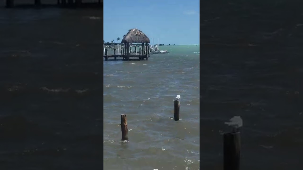 Breezy Palms Islamorada