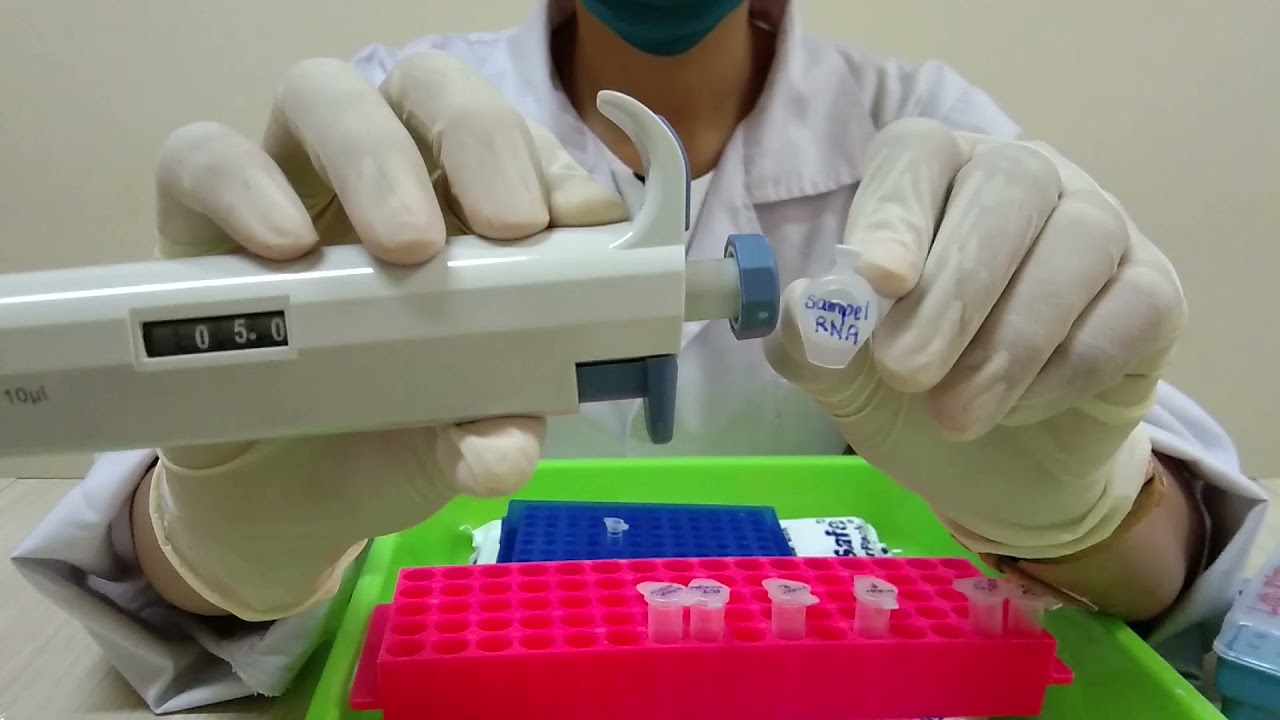 RT-PCR | Teknologi DNA | F. Bioteknologi UKDW