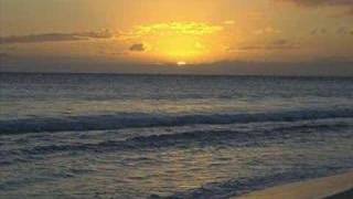 Watch Puracane Summertime Rolls video