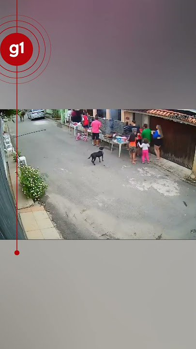 Boi descontrolado invade churrasco de Dia dos Pais no ES | #g1 #noticias