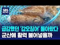 급감했던 '갑오징어' 돌아왔다..군산에 활력 불어넣을까 / SBS