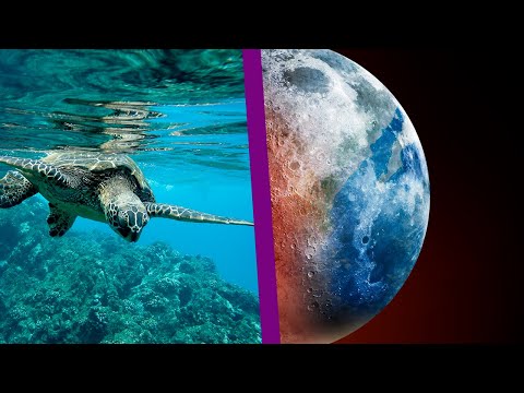 Vídeo: A Terra Está Sugando Seus Oceanos Mais Rápido Do Que Pensávamos. Para Onde Vai A Agua? - Visão Alternativa