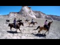 Horseback riding the vermillion cliffs