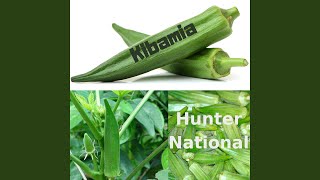 Kibamia