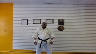 INTRODUCING "MR. BLITZ" ELWYN HALL (SHOTOKAN)