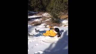 IMG 1307 IMG 1307