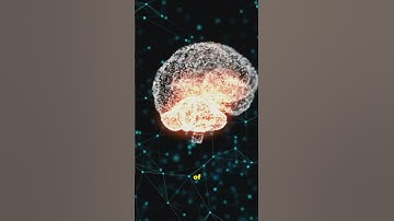 Are We Just Code? The Mind-Blowing Simulation Hypothesis!  #science  #facts #shorts #viralshorts