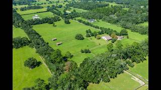 9549 NW 80th Ave Ocala Fl 34482 Farm Overlook