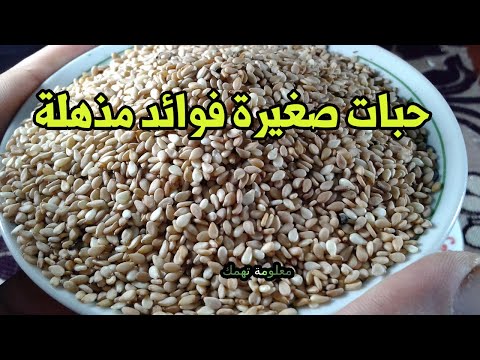 فوائد مذهلة فى حبات السمسم الصغيرة يخفض الكوليسترول وتقوية المناعة !!