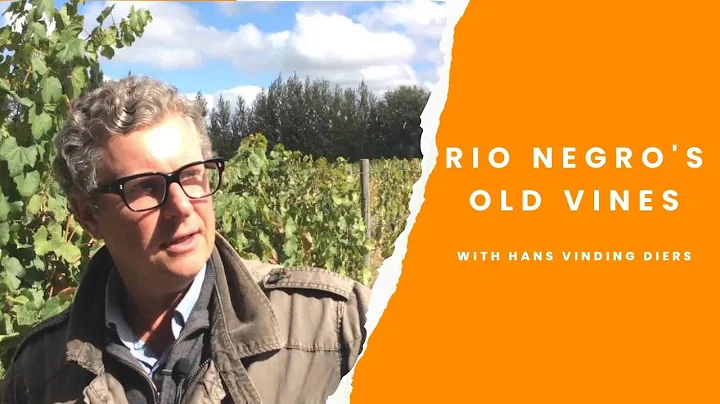 Patagonia's wines & the potential of Ro Negro vall...
