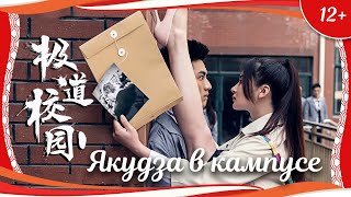 (12+) "Якудза в кампусе" (2016) китайская романтическая комедия с переводом