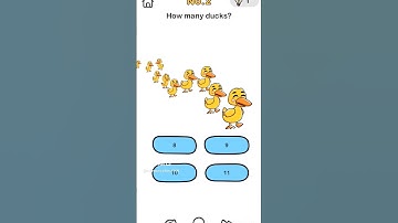 How many Ducks? | Brain quiz#shorts