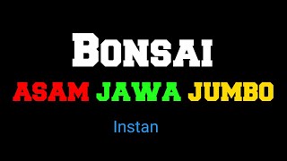 BONSAI ASAM JAWA JUMBO INSTAN