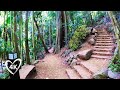 4K Rain Forest Walk - Relaxing Sound of Birds, Waterfalls and Streams - Mt Tamborine Australia