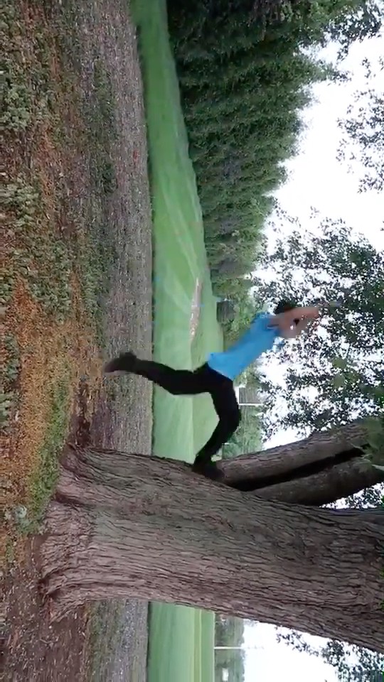 always flippin ?