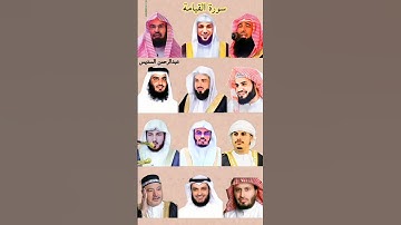 سورة القيامة بصوت القارئ رعد الكردي ، ماهر المعيقلي ، عبد الرحمن السديس ، ياسر الدوسري إدريس أبكر ..