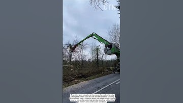 High-Power Tree Cutting Machine – Modern Forestry Innovation!