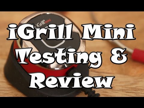 iGrill Mini Test