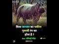 किस जानवर का पसीना गुलाबी रंग का होता हैं🤔🤔#shorts #video #ytshorts #youtubeshorts @Surajclasses63
