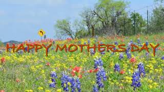 Happy Mothers Day 🌸💐🌺🌷🌻