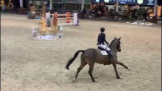 Ad ref 261665   Video 2