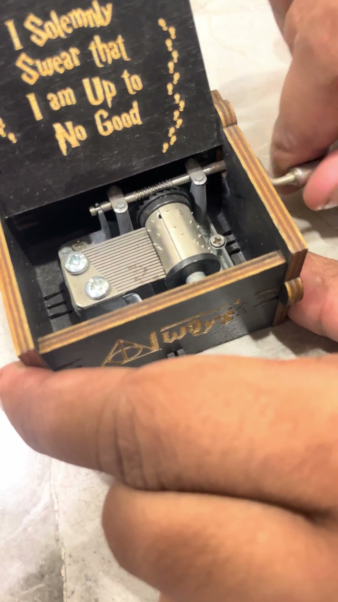 Enchanting Harry Potter Music Box | Hedwig's Theme in Motion - YouTube