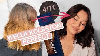 WELLA Koleston Perfect 4/71 (dark hair transformation)