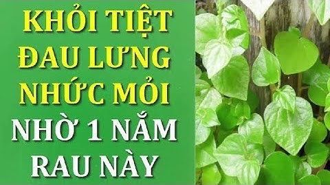 1 Nắm rau càng cua sẽ giúp đàn ông phụ nữ chữa hết tiểu đường đau lưng nhức mỏi