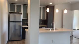 Beautiful Penthouse 2 Bedroom in West Hollywood