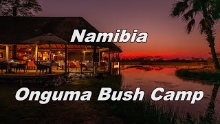 Namibia Onguma Bush Camp Etosha South