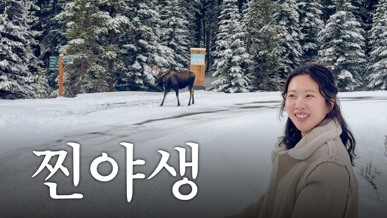🇨🇦겨울엔 캐나다. 그중에서도 재스퍼, 벤프입니다🍁