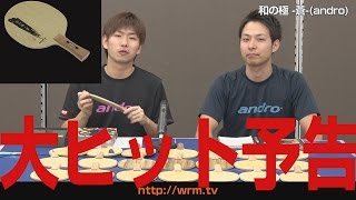 和の極蒼[Wanokiwami Ao][andro[アンドロ]]卓球ラバーNo1口コミサイト｜WRM