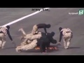 الحرس الوطني السعودي الحرس الوطني السعودي