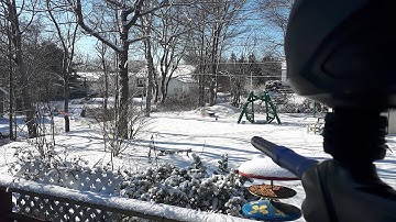 Proto Matrix PM5 shooting 14 bps NXL full auto