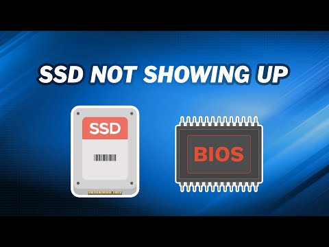 Why wont my SSD show up as a boot option?