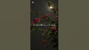 سورة النبأ - بصوت الشيخ ياسر الدوسري - تلاوة هادئة 😌❤️