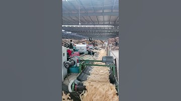 Do you know what board production process is #woodchipper #wood #timber #osb