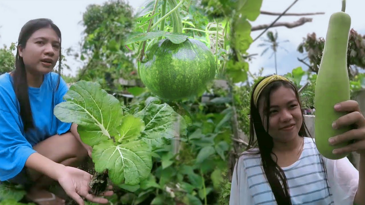 Backyard Tour/Cooking Fresh Organic Vegetables, Bohol Philippines - YouTube