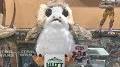 Video for Star Wars Porg Life-Size Plush Talking Plush with Original Movie Sounds