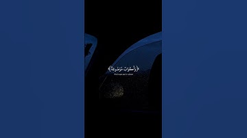 اكتب شيء تؤجر عليه // القارئ عبدالرحمن مسعد ❤️‍🩹😴