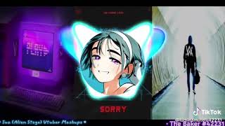 Alan Walker & Isak - Sorry For Play A Faded