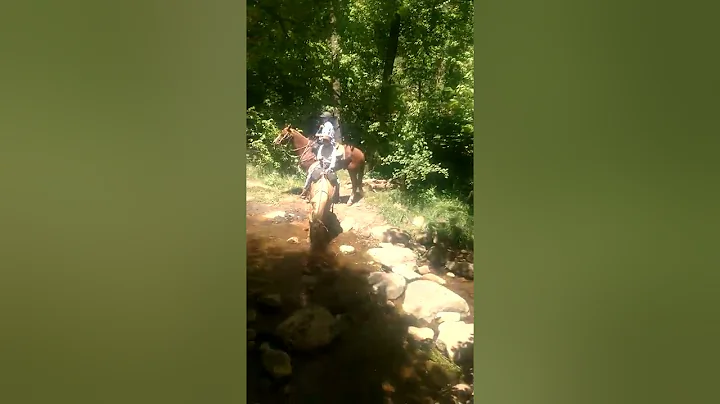 MTM RANCH Horseback Adventures
