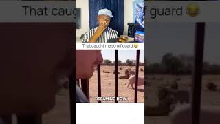 The Lion Disappointed Him.