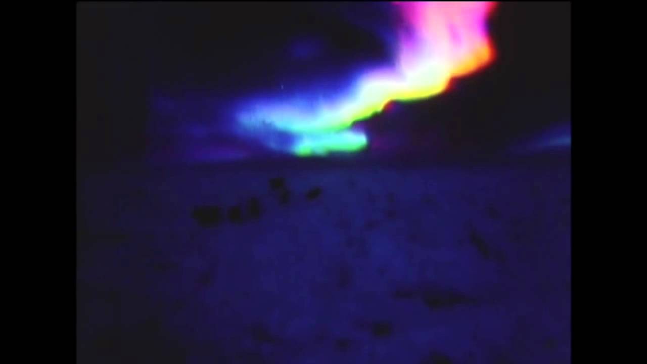 Antartica (1983) Dog watching Aurora Scene