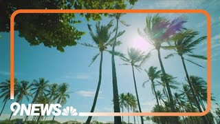 Best travel tips and spots for visiting Miami