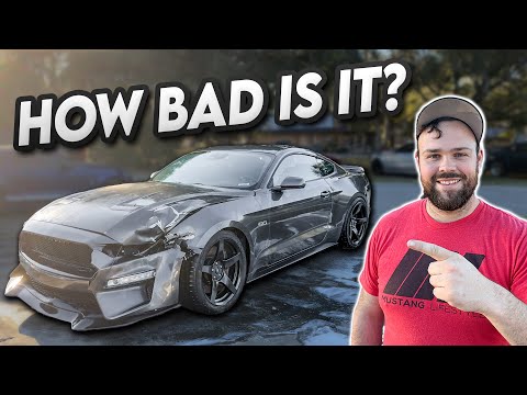 I Bought The Cheapest Running & Driving S550 Mustang Gt On Marketplace!
