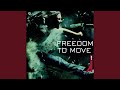 Freedom To Move Domino Theory Remix 