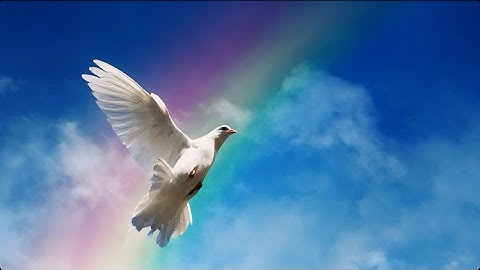 Genesis 8: The Waters Recede: A New Beginning for Noah